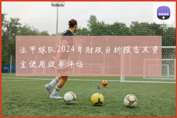法甲球队2024年财政分析报告及资金使用效率评估