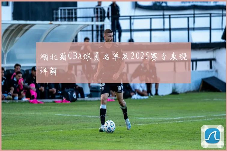 湖北籍CBA球员名单及2025赛季表现详解