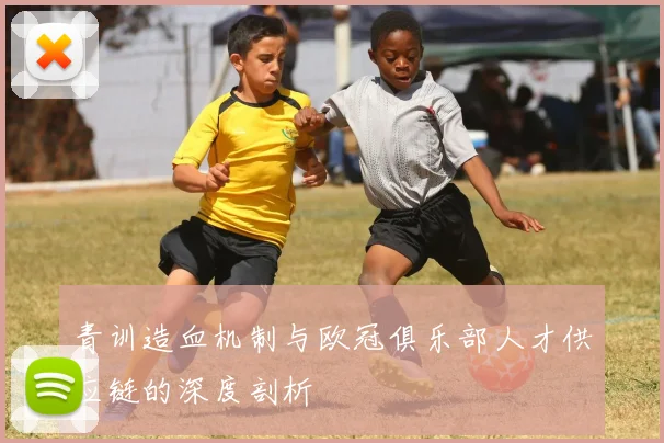 青训造血机制与欧冠俱乐部人才供应链的深度剖析