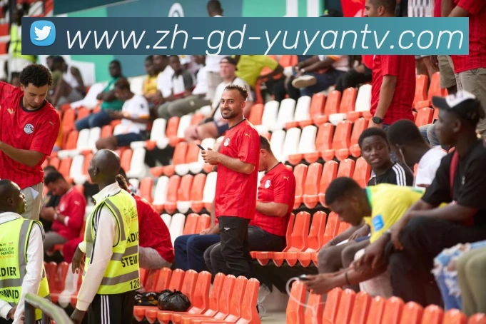 雨燕直播APP 封面图